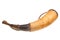 Powder horn isolated