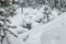 Powder snowdrifts on the stones of mountain river and forest snowfall