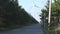 Power generating wind turbines beside treeline