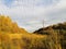 Power grids in forest in Siauliai county during autumn