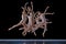 Power. Ground of young beautiful people, ballet dancers in beige bodysuits dancing against black background.