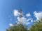 Power line against the blue sky and branches of green trees. electricity supply