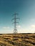 Power line in a corn field after harvest