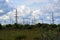 Power line in the countryside. High-voltage poles stretch along the forest. Electric power station