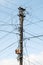 Power line electrical wire pillar with street felinar lights