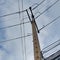 Power line pylon, concrete pole and urban communications wires