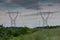 Power Line Tower Perspective in Green Field with Wild Purple Flowers