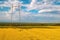 Power line transmission towers in cultivated rapeseed field