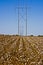 Power Lines and Cotton Rows-6512cl