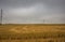 Power lines on the field in cloudy weather. Depressing scenery w