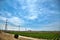 Power Lines, field & Phosphate Quarry