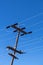 Power lines and insulators against a clear blue sky