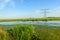 Power lines and pylons in a marshy nature reserve