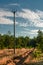 Power lines support at forest outskirts