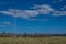 Power pole stands among coniferous green pine trees on dry yellow grassy steppe of lake Baikal nature. Blue mountains