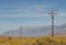 Power poles in the blooming desert