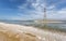 Power posts at the Dead sea