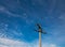 Power pylon in front of a blue sky