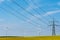 Power transmission lines in a field of flowering oilseed