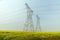 Power transmission route in a yellow canola field in fog
