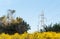 The power transmission tower and the rural landscape 03