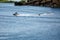 A powerboat pulling passengers in a tube on a lake.