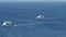 Powerboats and ship s sails along tropical sea