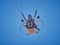 Powered paraglide or paramotor against blue sky. Paragliding