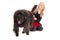 Powerful black labradoodle on a red leash pulling happy, young blonde girl along