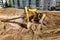 A powerful crawler excavator is working on a construction site. Close-up. Preparation of a pit for construction. Excavation