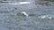 Powerful current in mountain river with foam and clear water, closeup view.