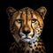 Powerful And Emotive Cheetah Portrait In Hyper-realistic Gothic Style