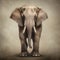 Powerful And Emotive Portraiture: Elephant With Tusks And Human Legs