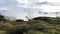 Powerful geysers of Rotorua, New Zealand