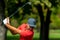 Powerful golf swing. Young golfing professional in golf swing