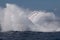 Powerful Humpback Whale Crashing Into Ocean