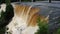 The powerful kakabeka waterfalls in north ontario