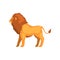 Powerful lion standing, wild predatory animal side view vector Illustration on a white background