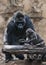 Powerful male gorilla and his cute little son, a symbol of fatherhood, against the backdrop of rocks