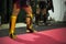 Powerful Muay Thai fighters\' legs, shielded by shin guards.