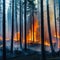 A powerful photograph of a forest engulfed in thick smoke from emphasizing the urgent need for forest fire prevention and