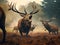 Powerful Red deer stag roaring in rutting season.