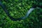 A powerful river cuts through a dense green forest, creating a breathtaking natural scene, A rippling flow of a river cutting