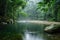 A powerful river flows through a dense green forest, surrounded by towering trees and vibrant vegetation, A river flowing calmly