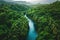 A powerful river meanders through a dense green forest, creating a stunning natural landscape, A river flowing freely through a