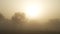 Powerful sand storms with powerful winds. Dramatic dusty sandstorm blowing sand and dirt through savanna