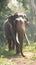 Powerful Thai elephant surrounded by the serene beauty of the forest