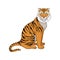 Powerful tiger sitting isolated on white background, side view. Wild animal with orange coat and black stripes. Vector