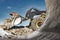 Powerful wheel loader or bulldozer working on a quarry or construction site. Earthworks in construction. Powerful modern equipment