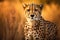 Powerful Wild cheetah animal nature. Generate Ai